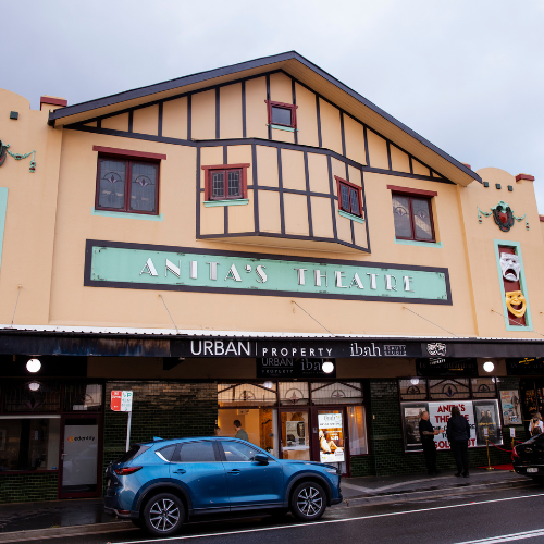 Anita's Theatre